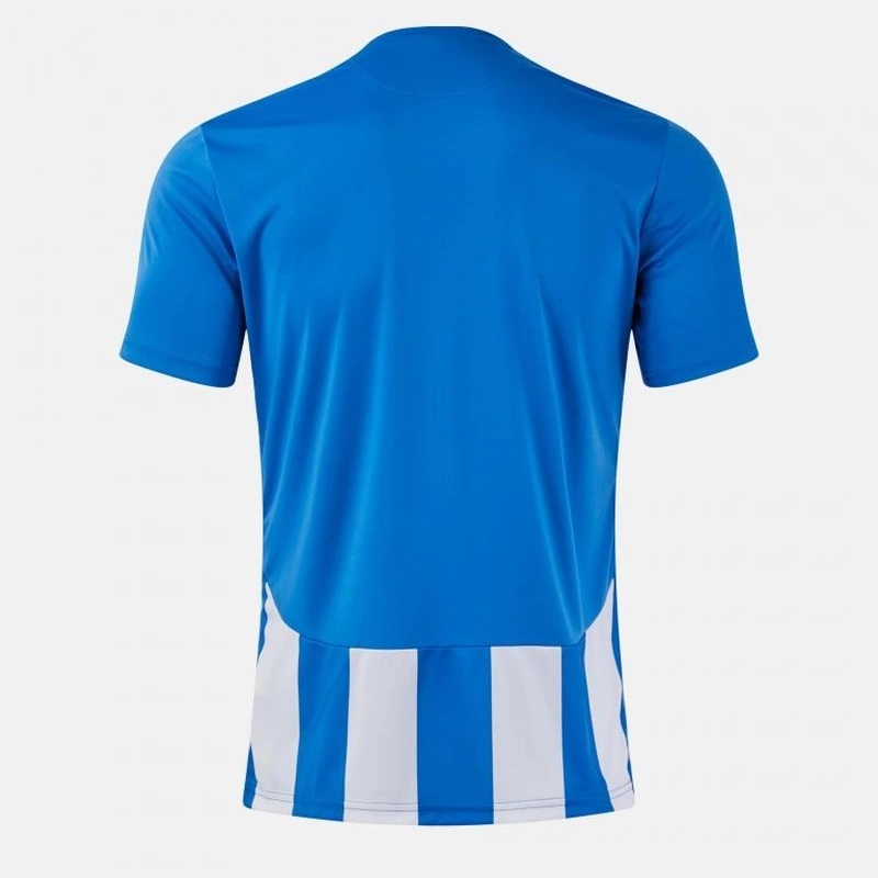 Футболка Joma сине-белая короткий рукав INTER VI 105307.702