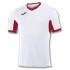 CHAMPION IV