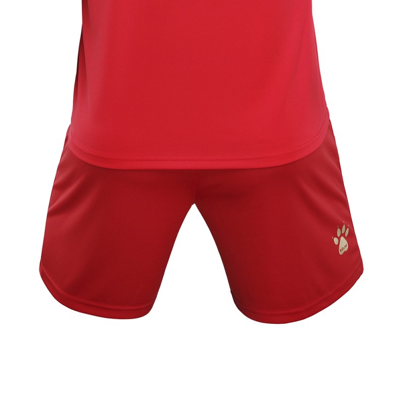 Шорты футбольной формы KELME DINAMO 3801098.9600 (Ш)